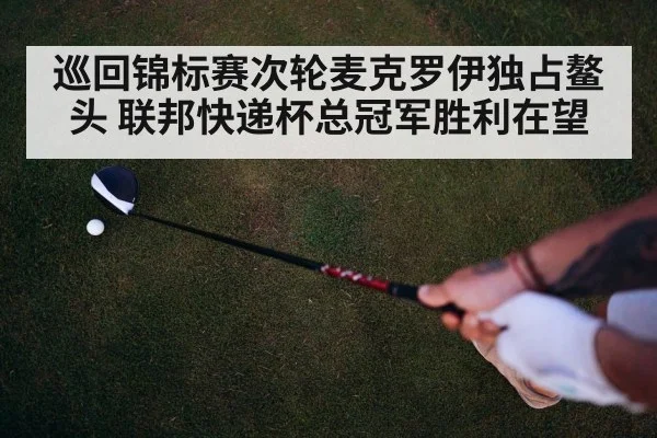 巡回锦标赛次轮麦克罗伊独占鳌头 联邦快递杯总冠军胜利在望